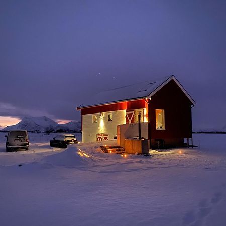 Unique Barnhouse In Amazing Gimsoy In Lofoten Saupstad  Zewnętrze zdjęcie