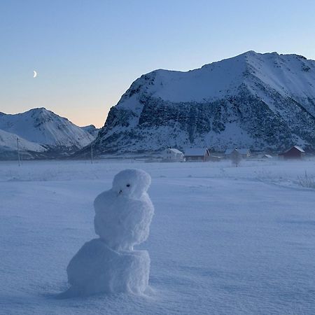 Unique Barnhouse In Amazing Gimsoy In Lofoten Saupstad  Zewnętrze zdjęcie